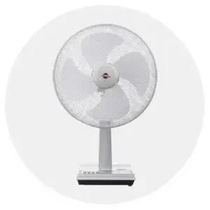 fan